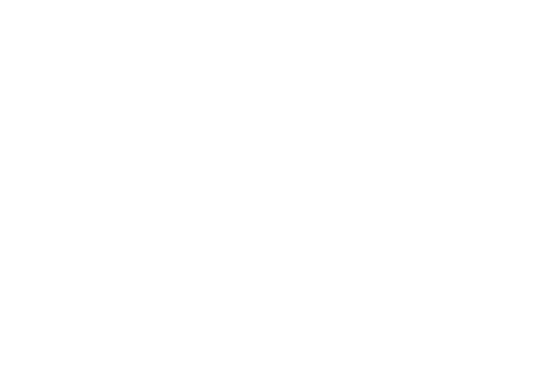 ziw-logo-white